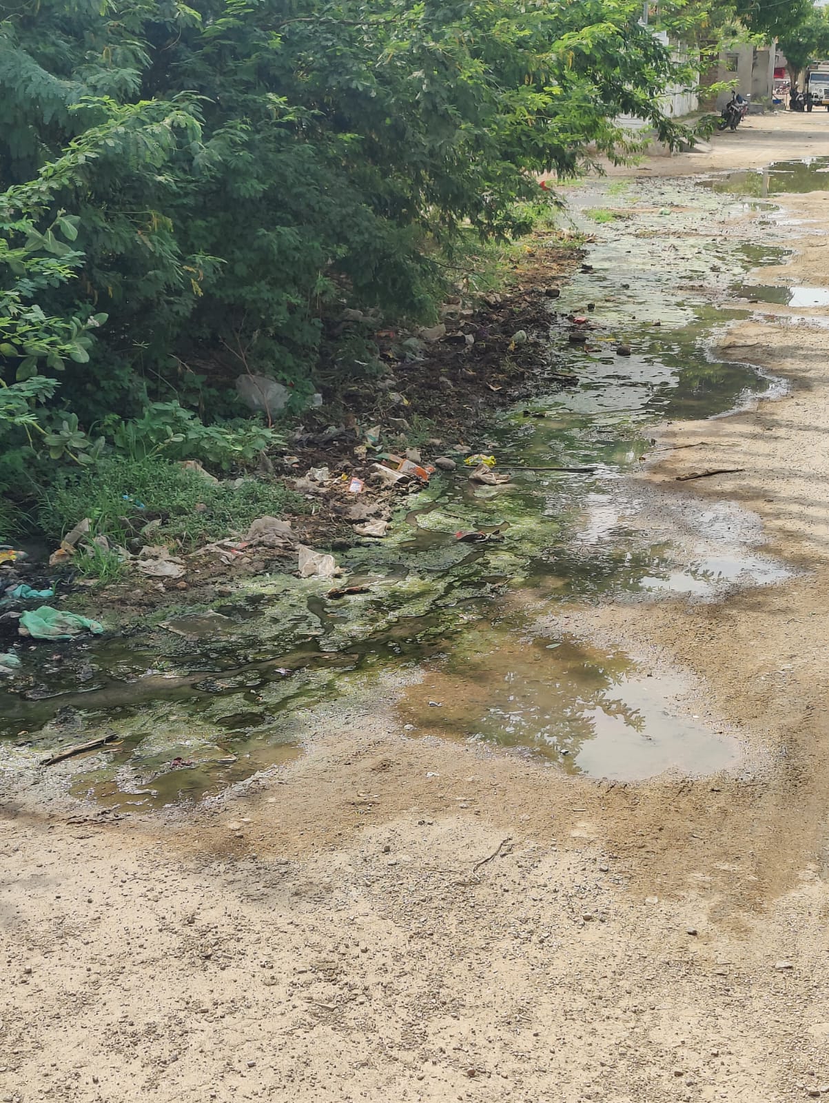 कानपुरा गांव के ग्रामीण गंदगी से परेशान, ग्राम पंचायत पर भेदभाव का आरोप 