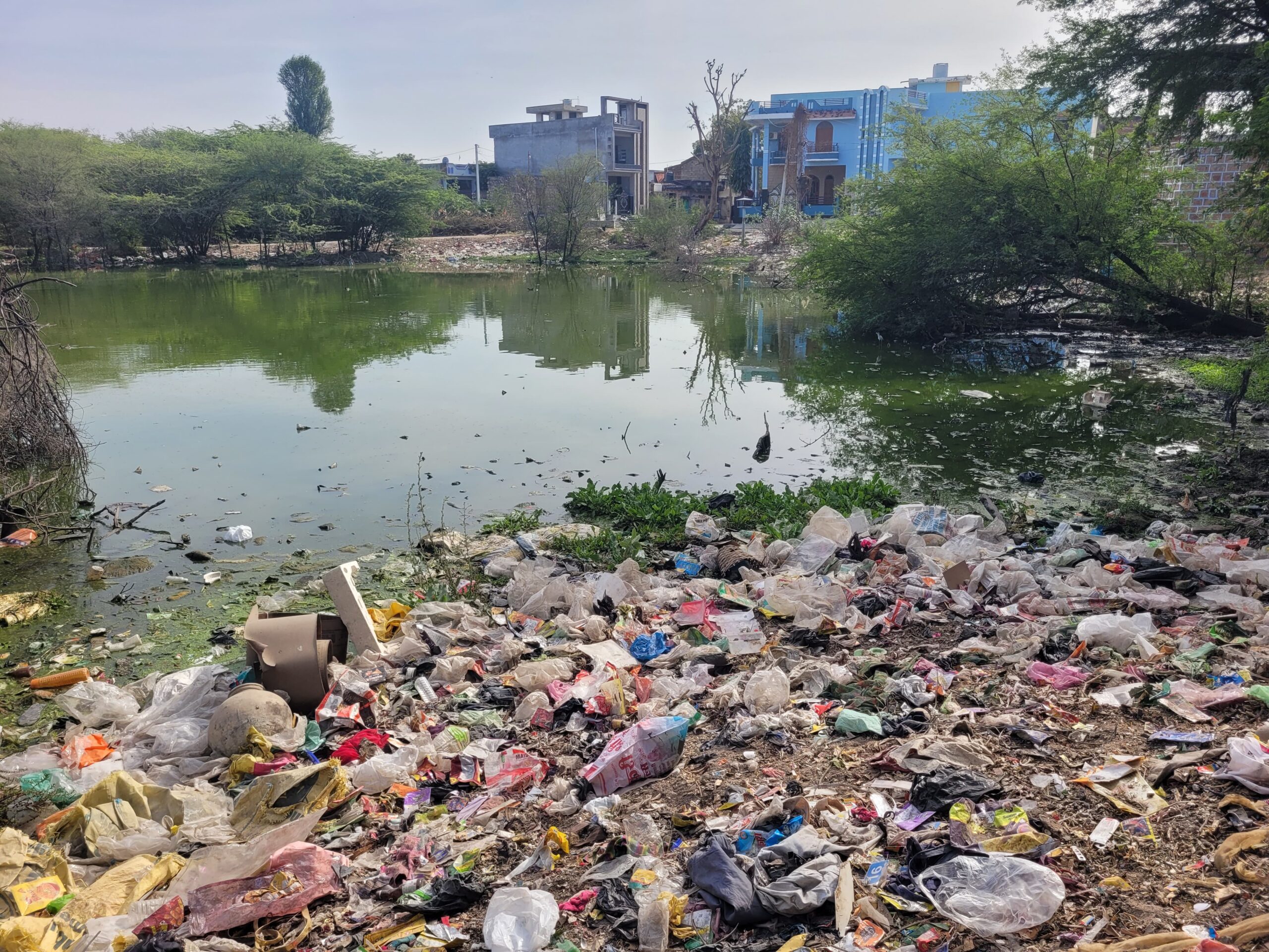 सलोदरिया की सार्वजनिक नाड़ी में भरी पड़ी गंदगी से फैली दुर्गंध, स्कूली छात्र व मरीज परेशान।